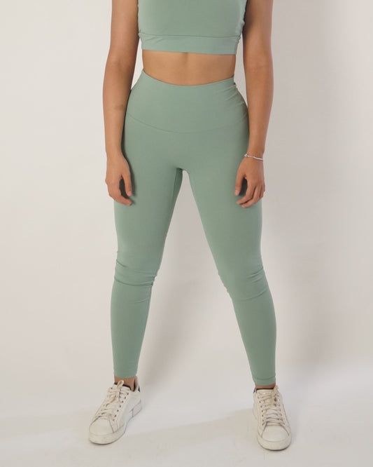 Legging Matcha